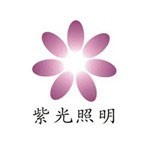 深圳市紫光照明技术股份有限公司
